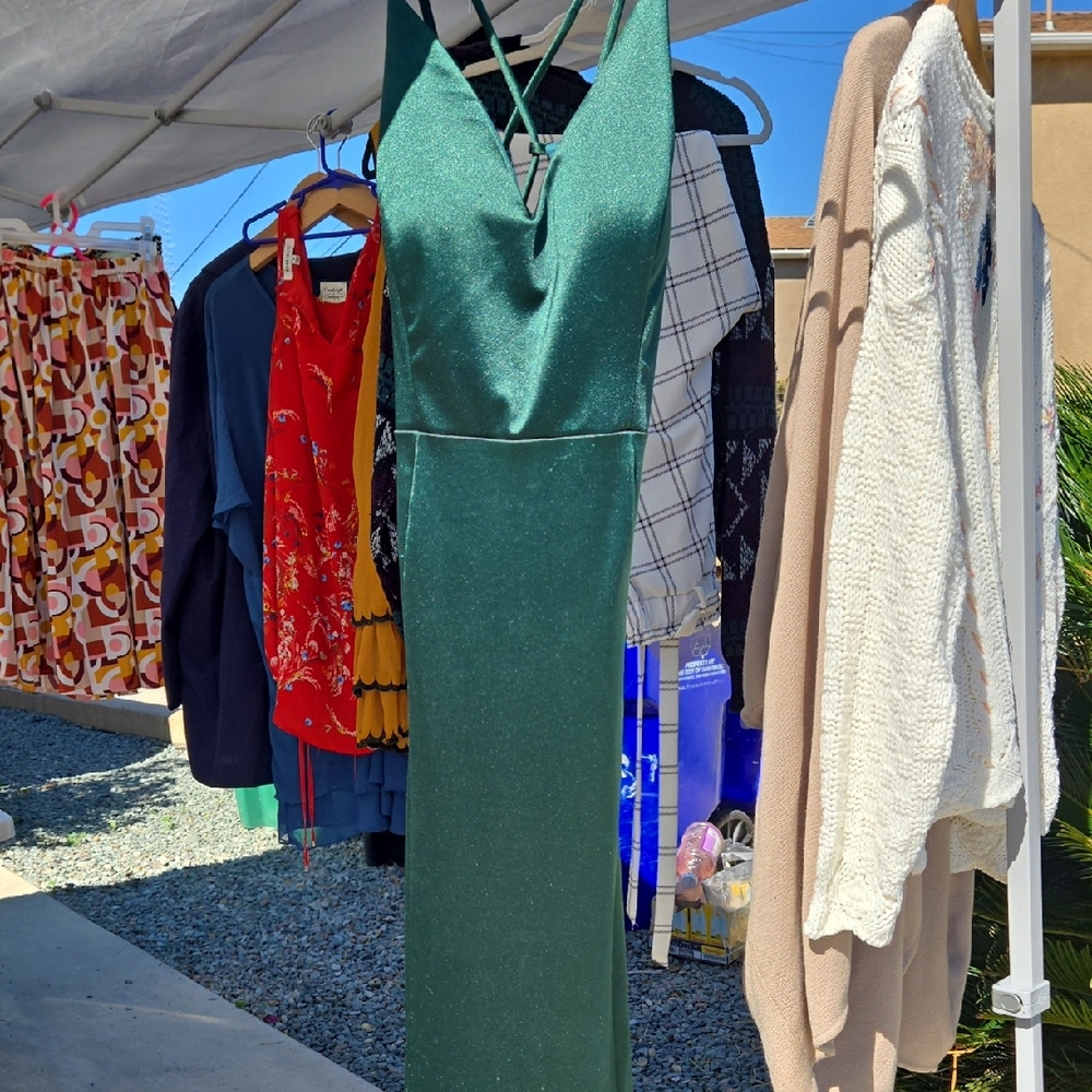 Windsor Shimmering Green Backless Dress